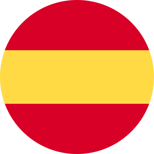 Language Flag
